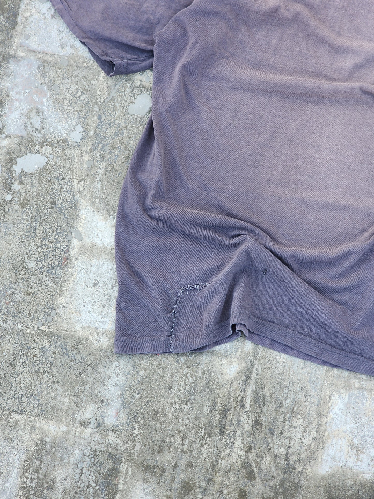 Vintage 1992 RoadHog Taz Rider Heavily Distressed and Heavily Faded Tee (M)