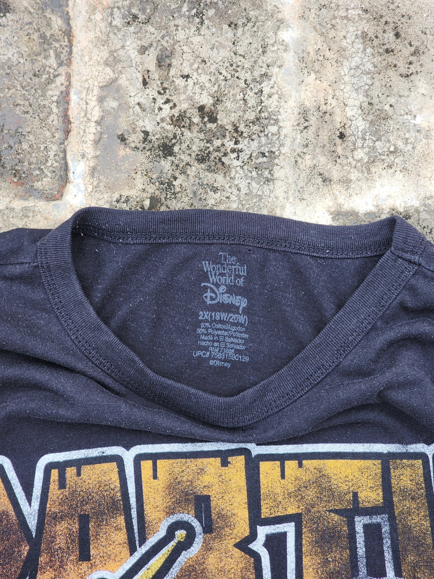 Dinsey Party Animal Vintage Tee (L)