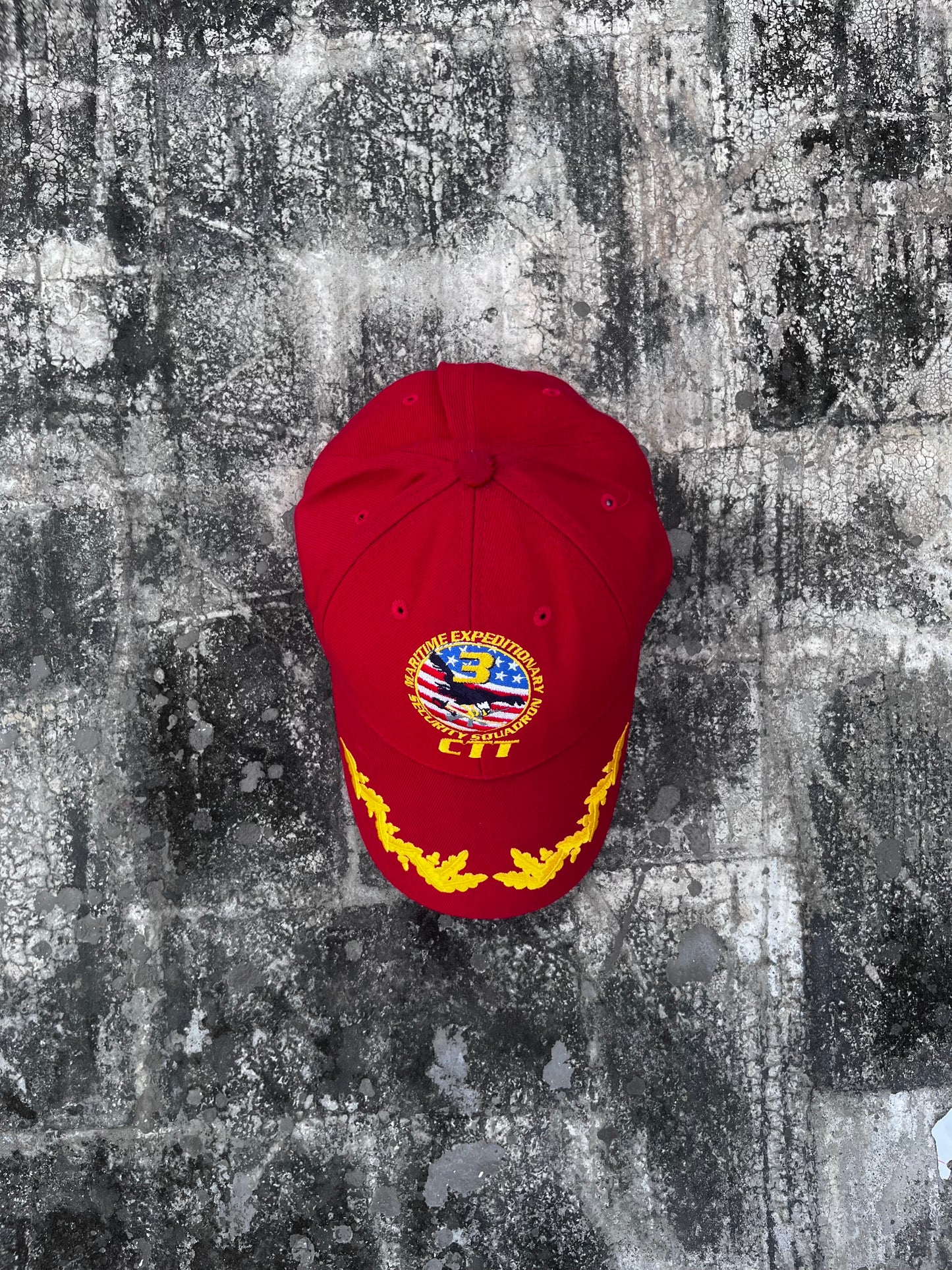 CTT Security Squadron Cap