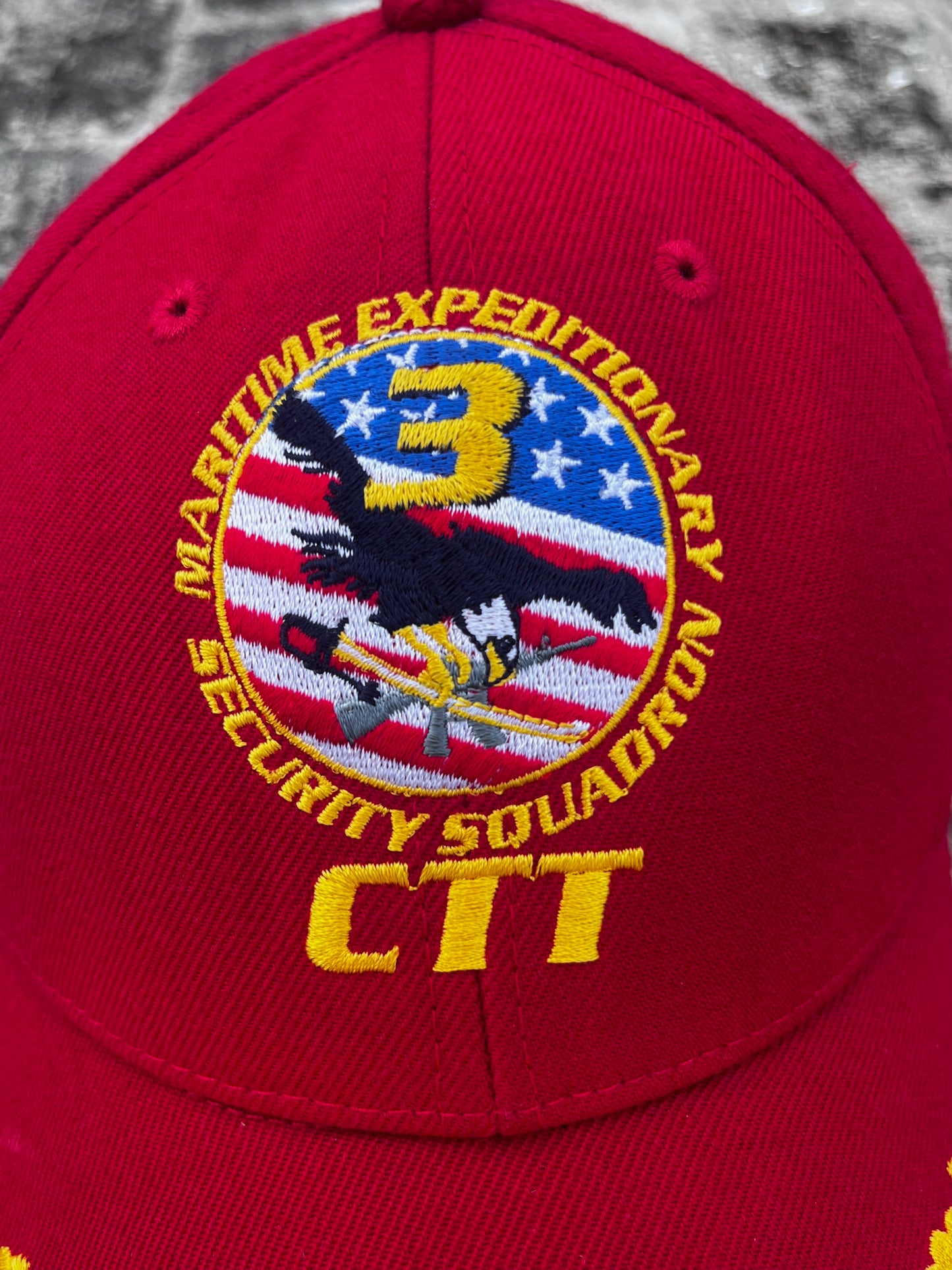CTT Security Squadron Cap