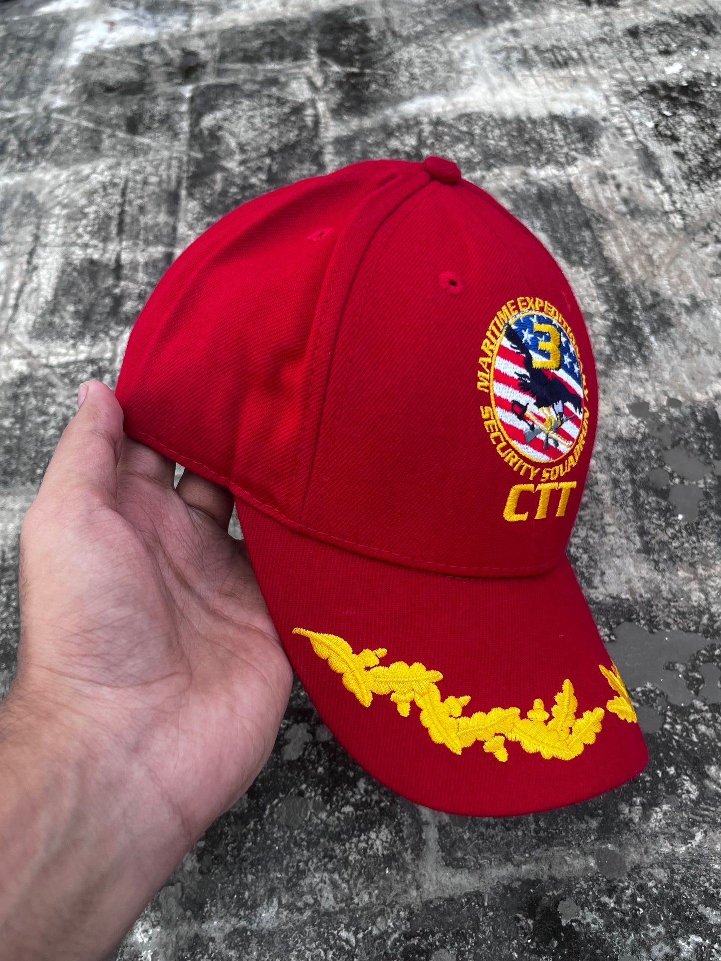 CTT Security Squadron Cap