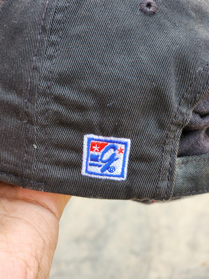 Michigan International Speedway Cap