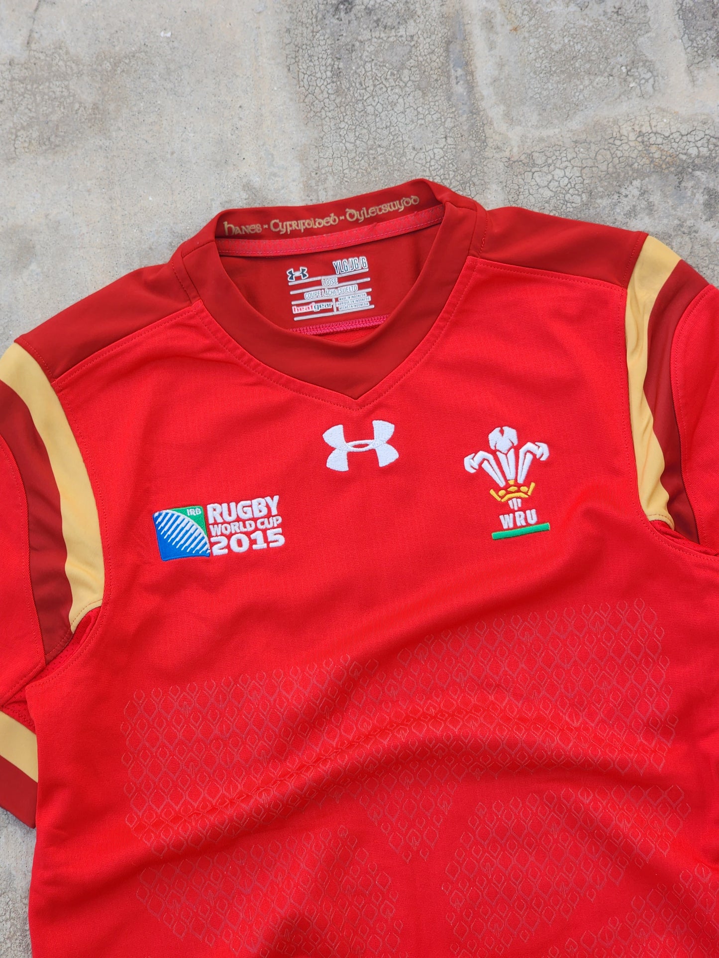 Wales 2015 Rugby World Cup Evan 10 Jersey (S)