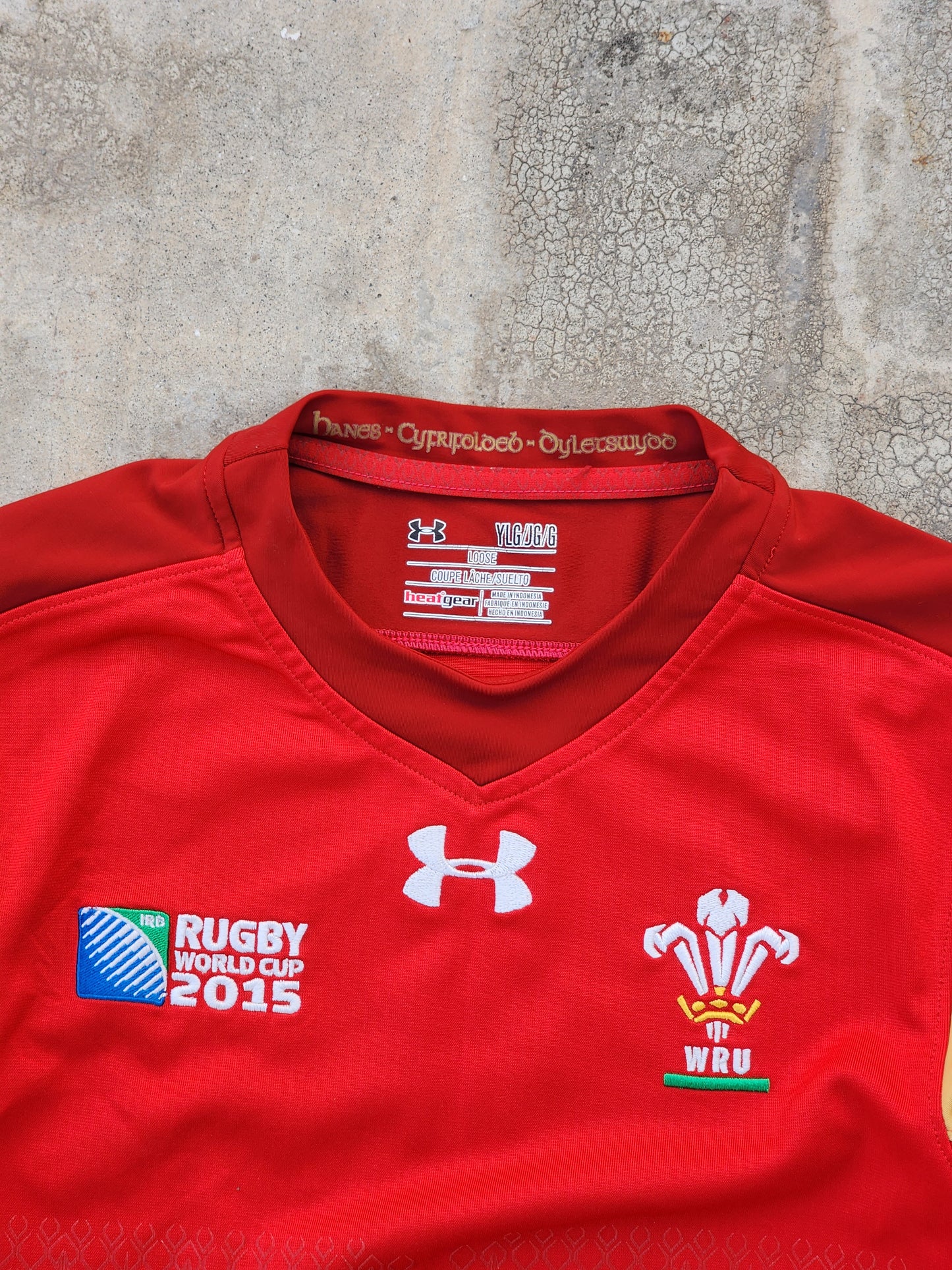 Wales 2015 Rugby World Cup Evan 10 Jersey (S)