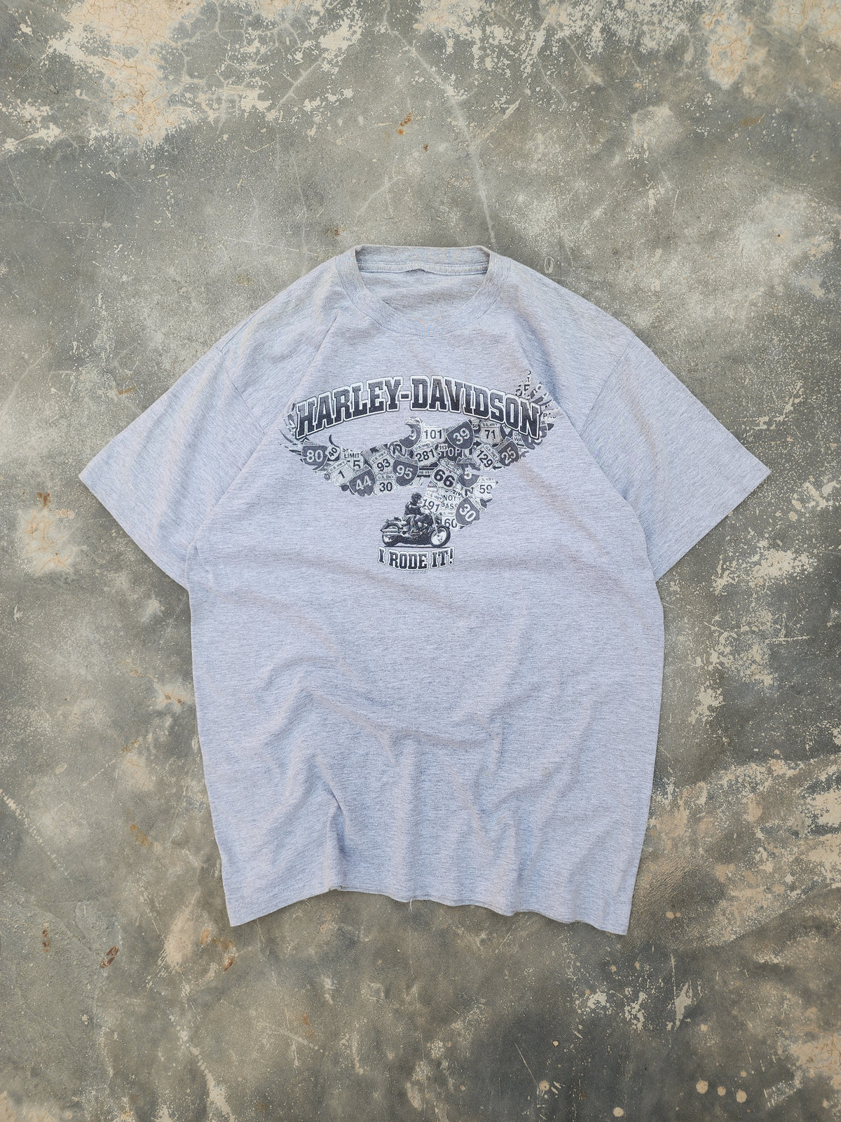 Vintage 2011 Renegade Harley Davidson Tee (M/L)