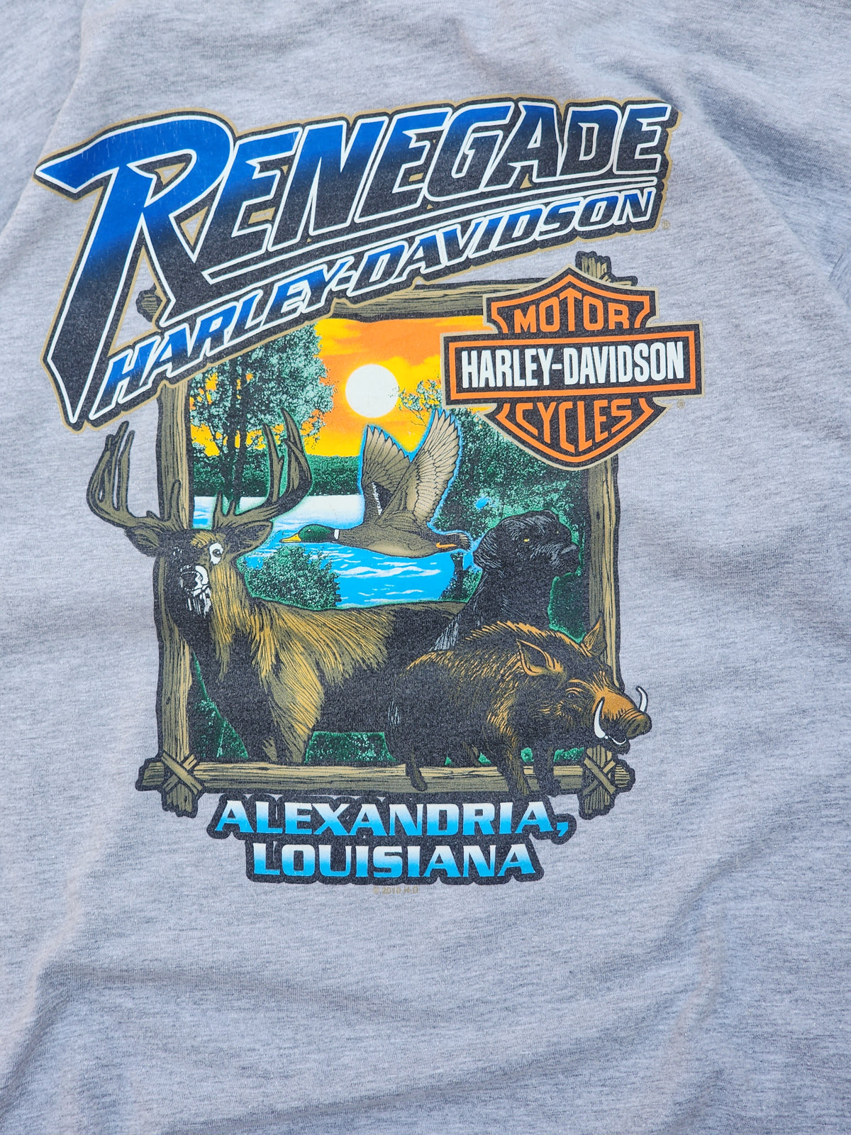 Vintage 2011 Renegade Harley Davidson Tee (M/L)