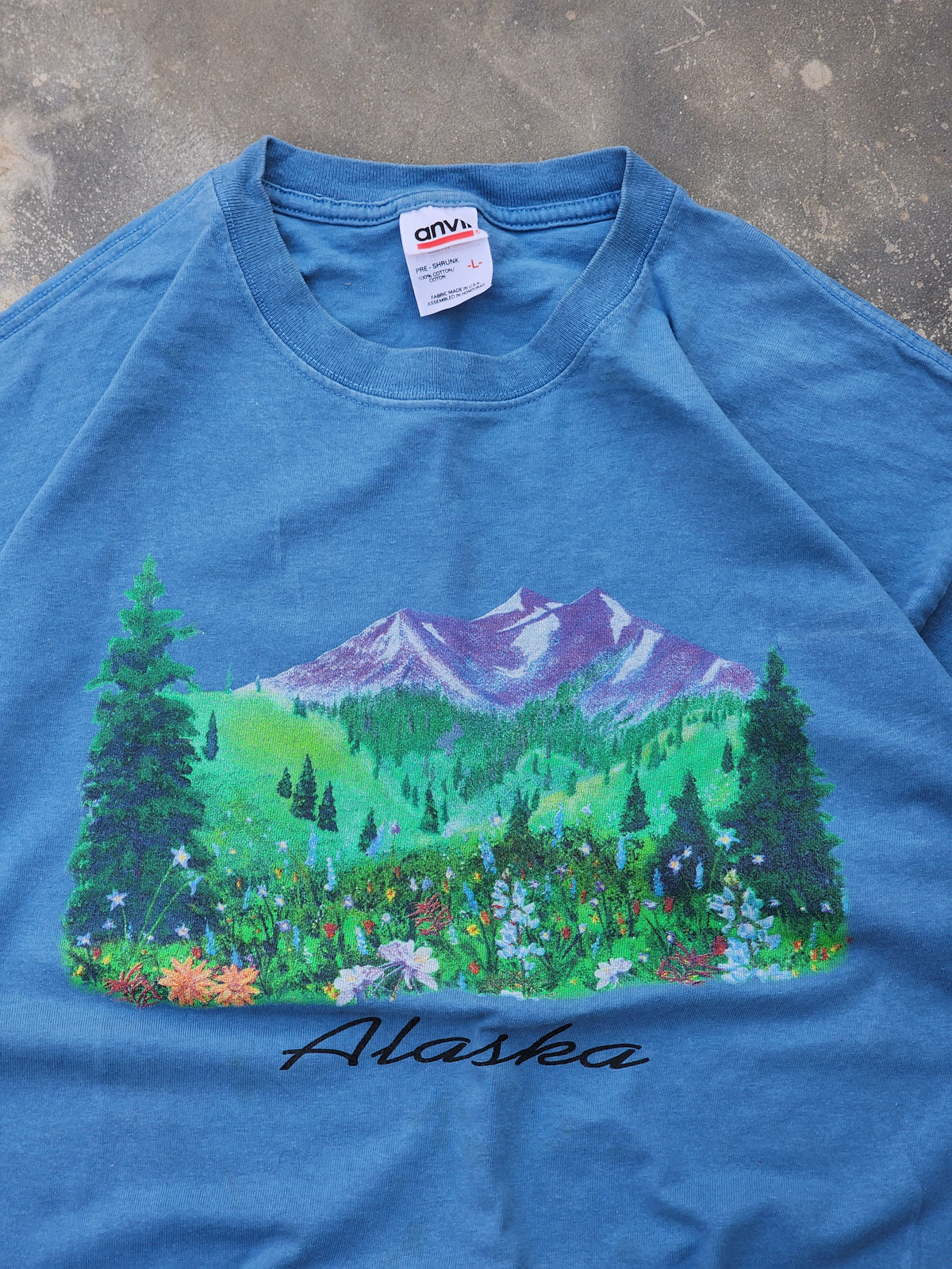90s Vintage Anvil Alaska Tee (M/L)