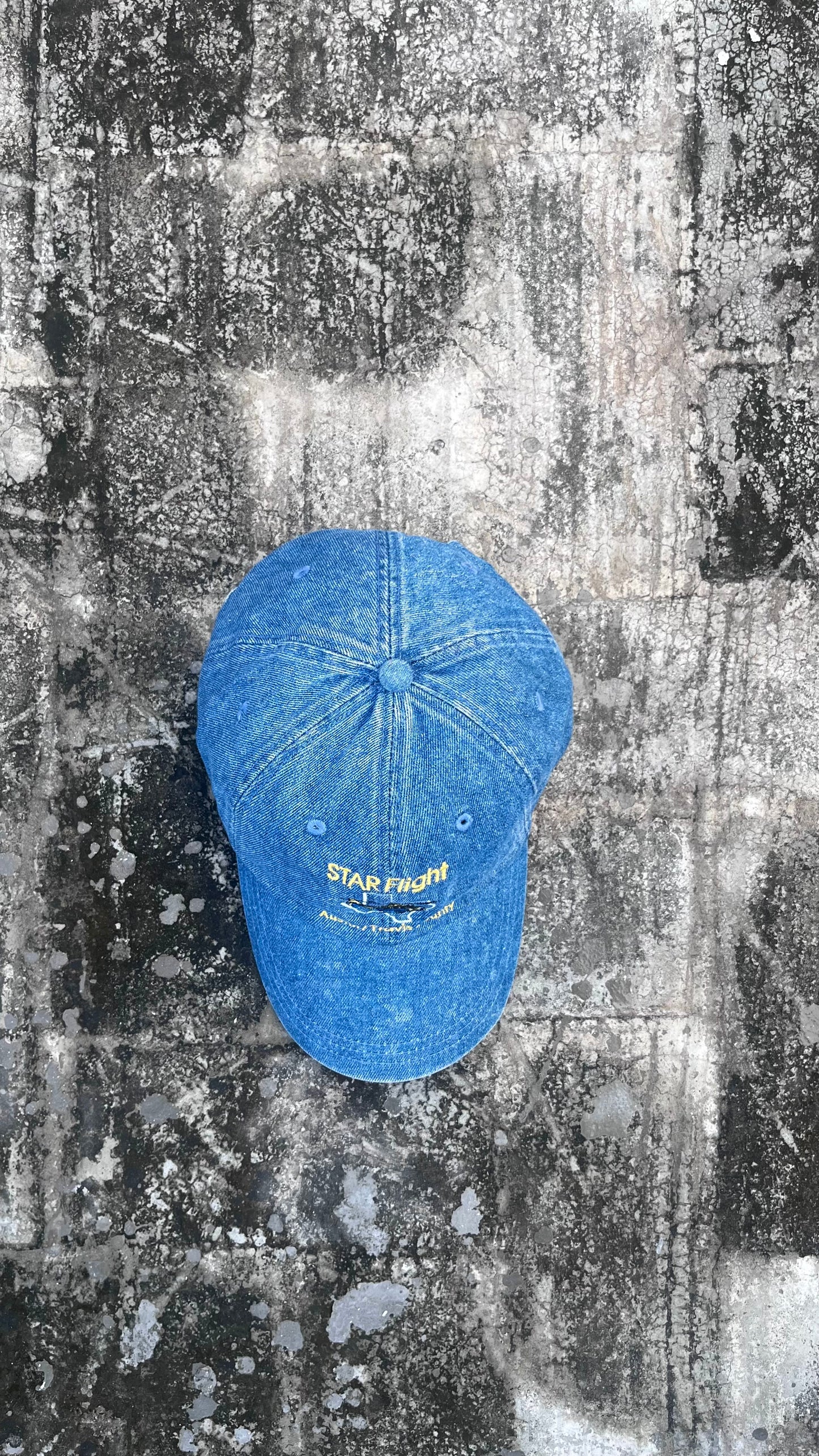 Denim Vintage Cap