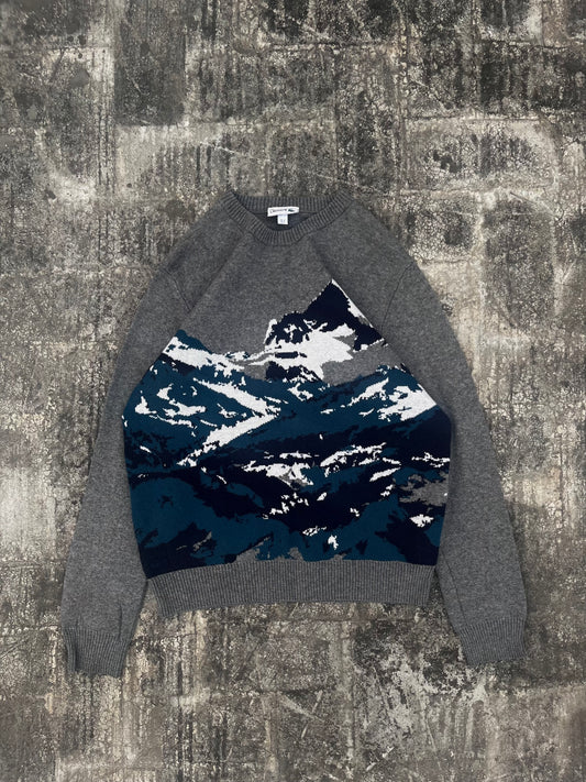 Lacoste Sweater (M)