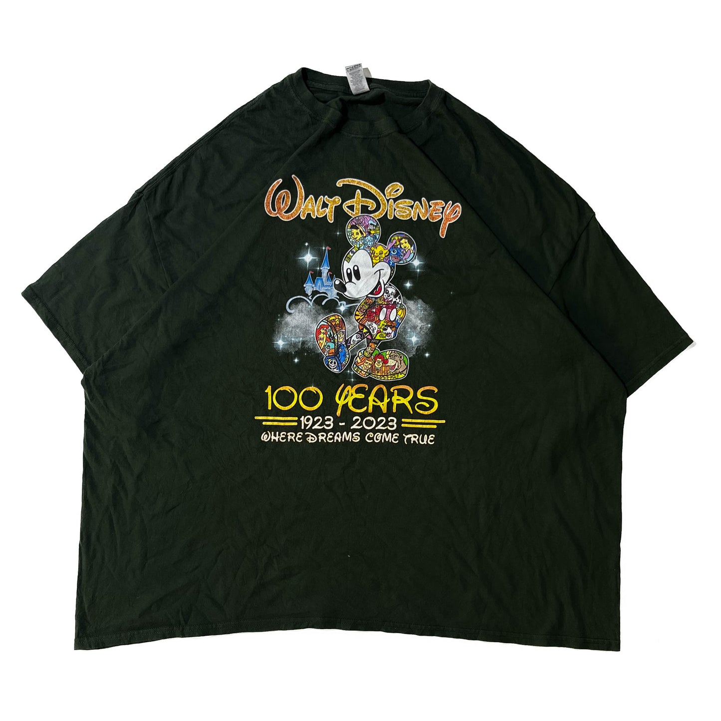 Walt Disney 100 years (XXXL)