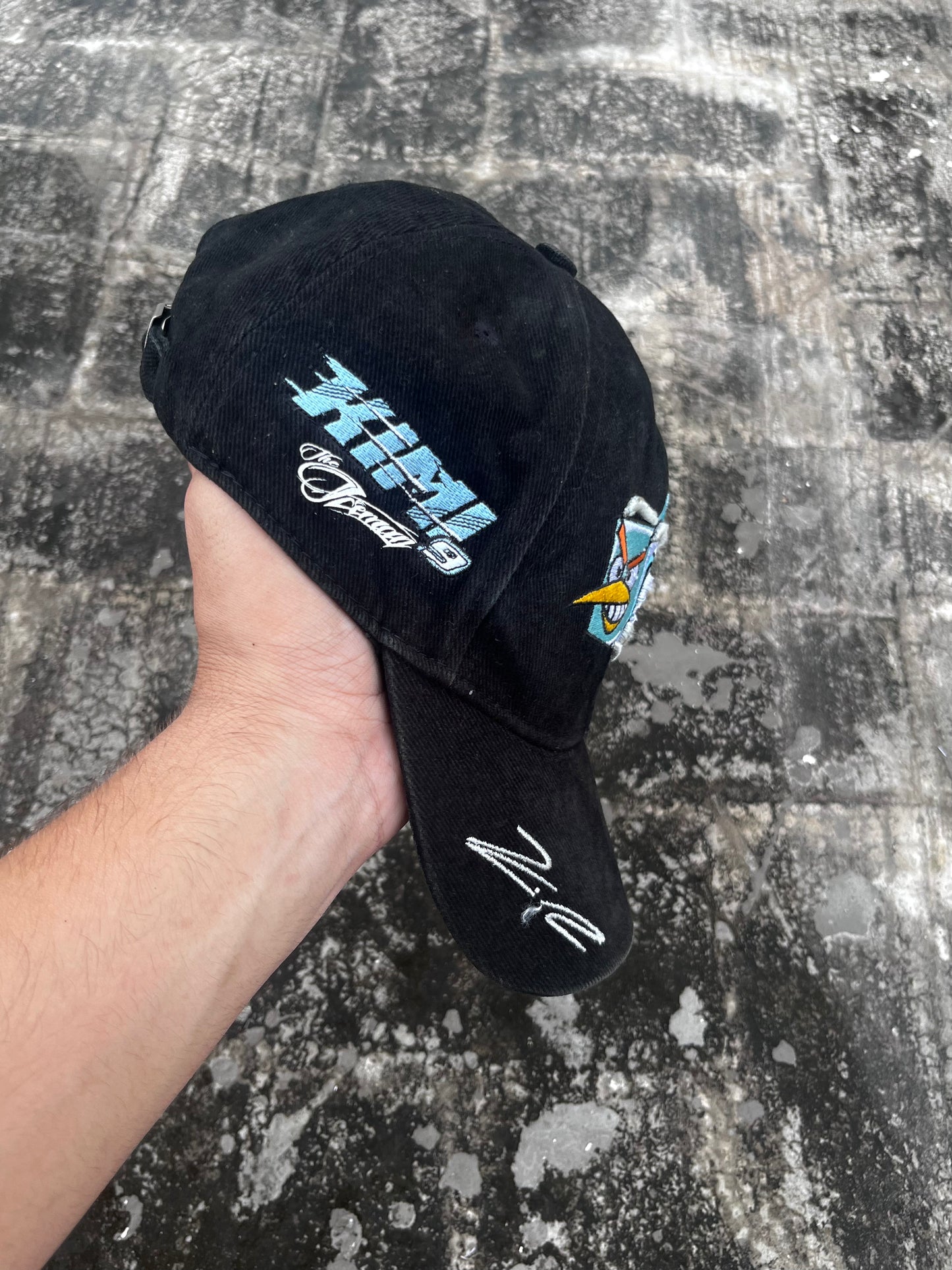 Angry Birds - Ice Bird Cap