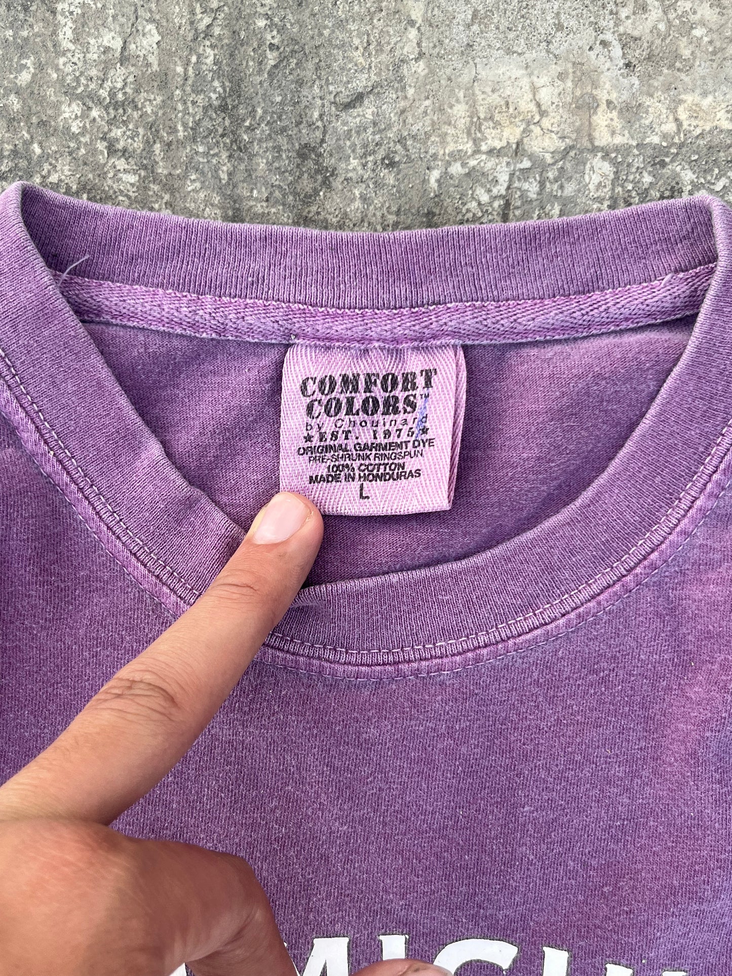 Vintage Washed Purple Lake Michigan Tee (L)
