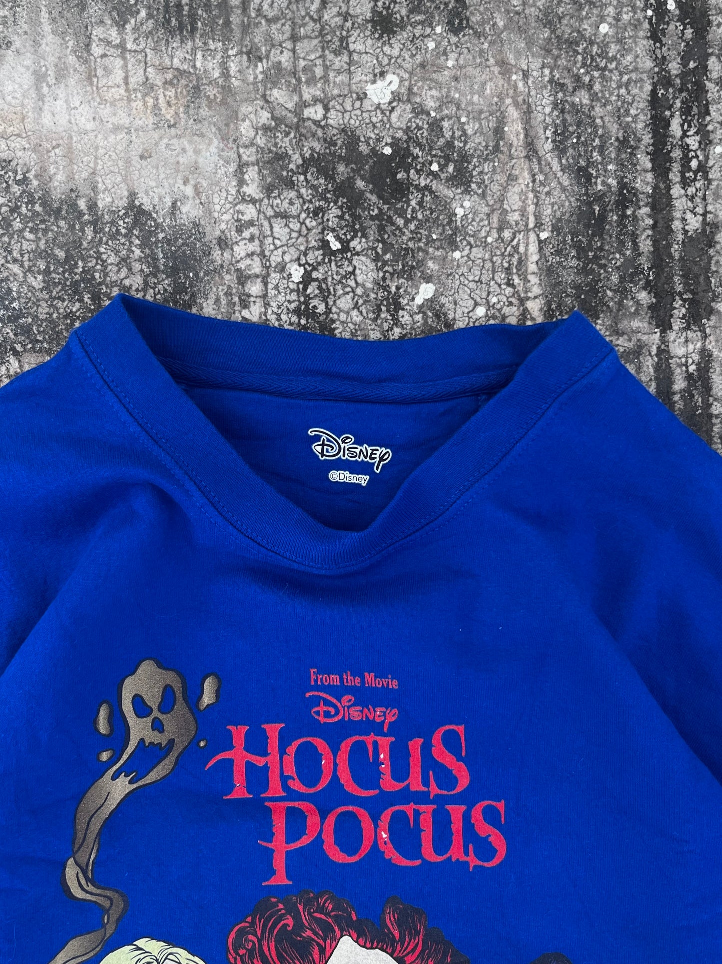 Disney Hocus Pocus Oversized Sweatshirt (M/L)