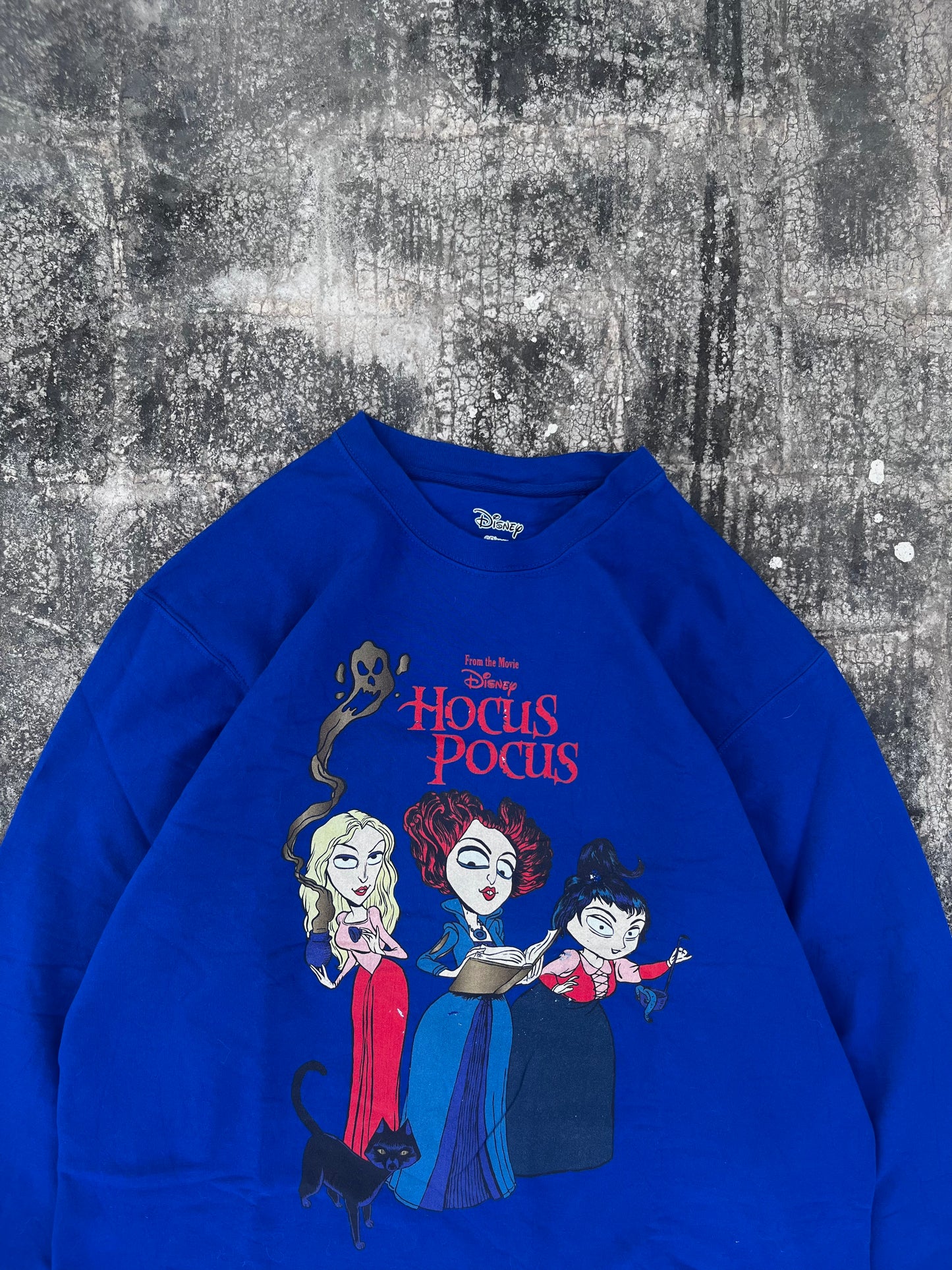 Disney Hocus Pocus Oversized Sweatshirt (M/L)